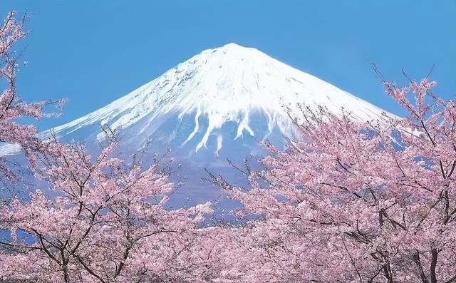 日本人口相對不多，衛生紙用量卻世界第一，都用來(lái)干什么了？